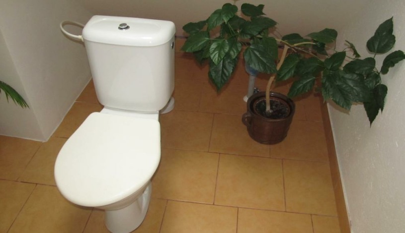 Apartmá Dostálovi Kutná Hora